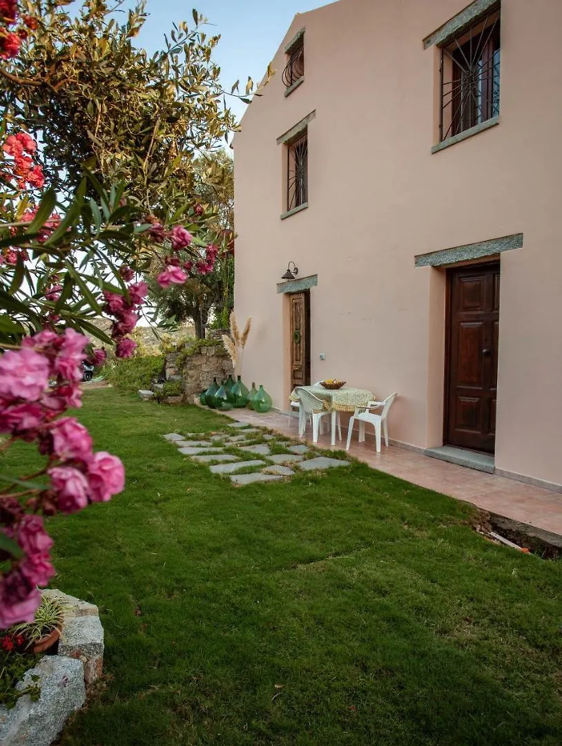 Villa Peditoltu Olbia